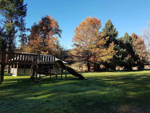 Harrietville Cabins And Caravan Park - Geraldton Accommodation 5