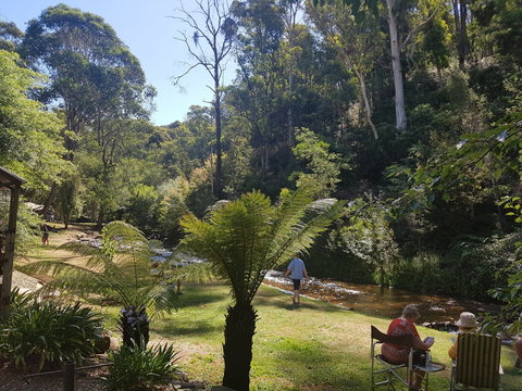 Harrietville Cabins And Caravan Park - Geraldton Accommodation 7