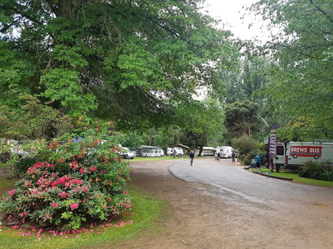 Harrietville Cabins And Caravan Park - Geraldton Accommodation 8