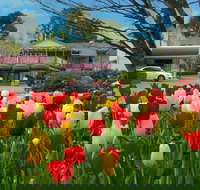 Nesuto Leura Gardens Hotel - Geraldton Accommodation