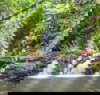 O'Reilly's Rainforest Retreat - Geraldton Accommodation