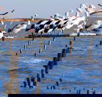 Pelican Perch Retreat - Geraldton Accommodation
