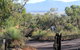 Aquila Eco Lodges - thumb 5