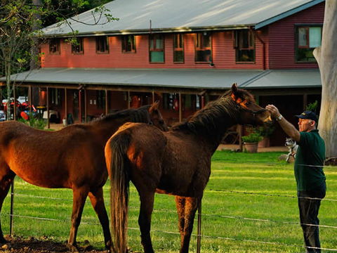 Bilpin Country Lodge - Geraldton Accommodation 3