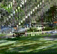 Chaelundi campground - Geraldton Accommodation