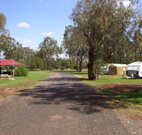Dunedoo Caravan Park - Geraldton Accommodation