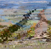 Eaglereach Wilderness Resort - Geraldton Accommodation