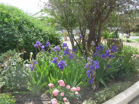 Garden Motor Inn (Golden Chain) - Geraldton Accommodation 7