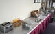 Karinga Motel, SureStay Hotel By Best Western - thumb 8