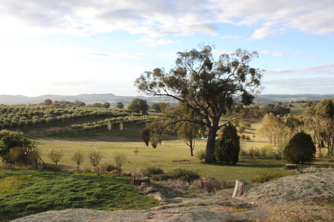 L'Oliveraie - Geraldton Accommodation 3