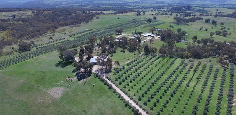 L'Oliveraie - Geraldton Accommodation 6