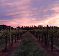 Milawa Vineyard Views - Geraldton Accommodation