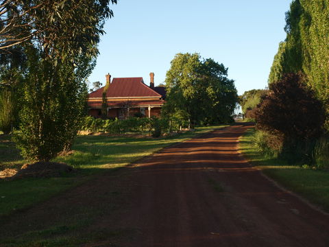 Pierrepoint Wines Bed & Breakfast - Geraldton Accommodation 4