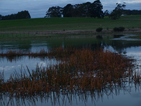 Pierrepoint Wines Bed & Breakfast - Geraldton Accommodation 8