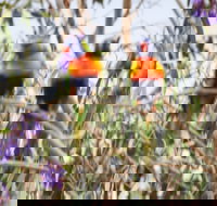 Twilight Grove Farm Bed and Breakfast - Geraldton Accommodation