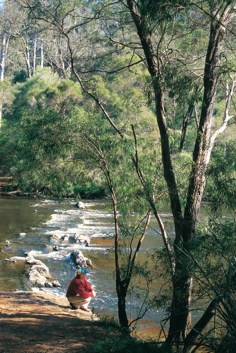 Warren Camp At Warren National Park - Geraldton Accommodation 0