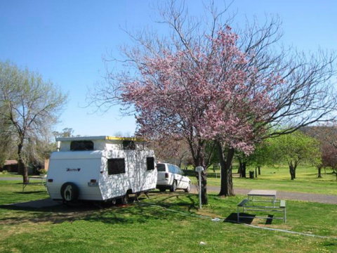 Wellington Caves Caravan Park - Geraldton Accommodation 0
