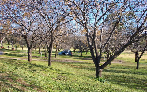 Wellington Caves Caravan Park - Geraldton Accommodation 1