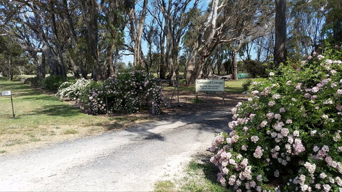 Camawald Coonawarra Cottage B&B - Geraldton Accommodation 0