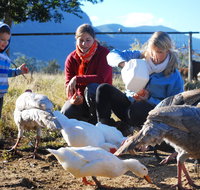 Cedar Glen Farmstay - Geraldton Accommodation