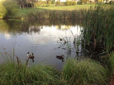 Harewood House Bed And Breakfast - Geraldton Accommodation 0