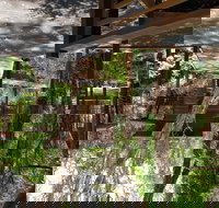 Melaleuca Surfside Backpackers - Geraldton Accommodation