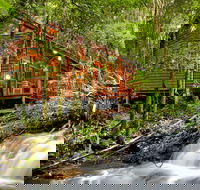 The Mouses House - Rainforest Retreat - Geraldton Accommodation