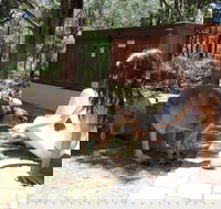 Yelverton Brook Eco Spa Retreat and Conservation Sanctuary - Geraldton Accommodation