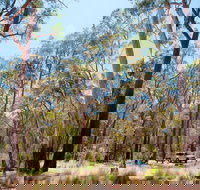 Coolah Tops National Park Camping - Geraldton Accommodation