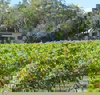 Just Red Wines Vineyard Cabins - Geraldton Accommodation