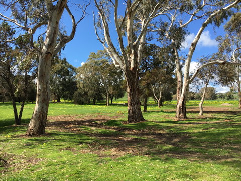 Ocean Valley Paradise - Geraldton Accommodation 1