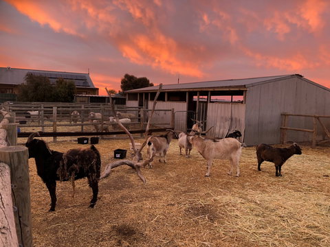 Tarnasey Farm - Grandma's Getaway - Geraldton Accommodation 2