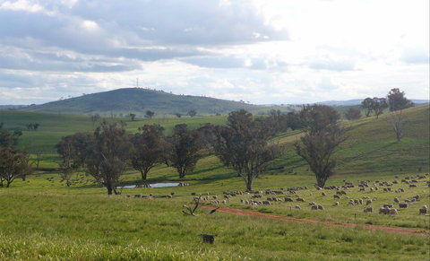 Wantana Cottage Farm Stay - Geraldton Accommodation 0