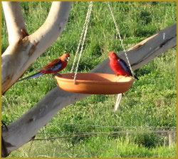 Henlie Park Bed & Breakfast - Geraldton Accommodation 3
