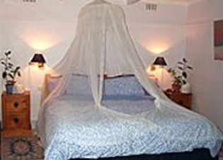 Bondi Beach Garden Sweet - Geraldton Accommodation 0