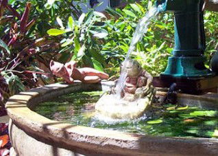 Bondi Beach Garden Sweet - Geraldton Accommodation 3