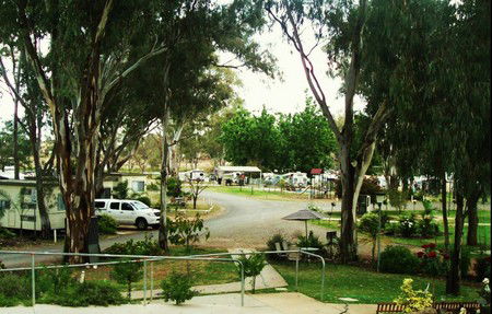 Buronga Riverside Tourist Park - Geraldton Accommodation 4
