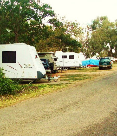 Buronga Riverside Tourist Park - Geraldton Accommodation 5