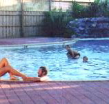 Shark Bay Caravan Park - Geraldton Accommodation