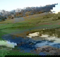 Barkeldine Farm Country Retreat - Geraldton Accommodation