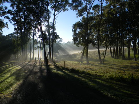 Cygnet Park Country Retreat - Geraldton Accommodation 2