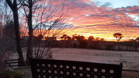 Glenhope Alpacas Bed And Breakfast - Geraldton Accommodation 1