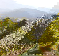 Rosetta's Garden Guesthouse - Geraldton Accommodation