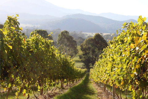 Rosetta's Garden Guesthouse - Geraldton Accommodation 0