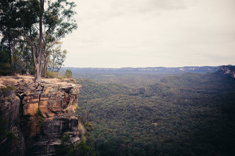 Sandstone Park Carnarvon Gorge - Geraldton Accommodation 1