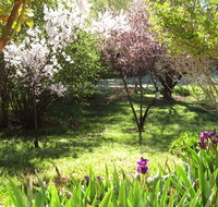 Sofala Cottage - Geraldton Accommodation