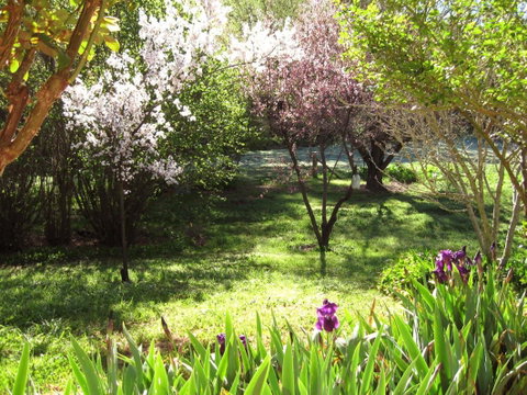 Sofala Cottage - Geraldton Accommodation 0