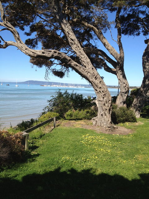 WhiteCliffs To Camerons Bight Foreshore Reserve - Geraldton Accommodation 2