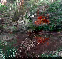 Woodlands Rainforest Retreat - Geraldton Accommodation