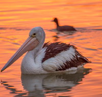 4 Pelican Court - River Shack Rentals - Geraldton Accommodation